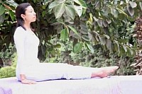 The original Yoga science