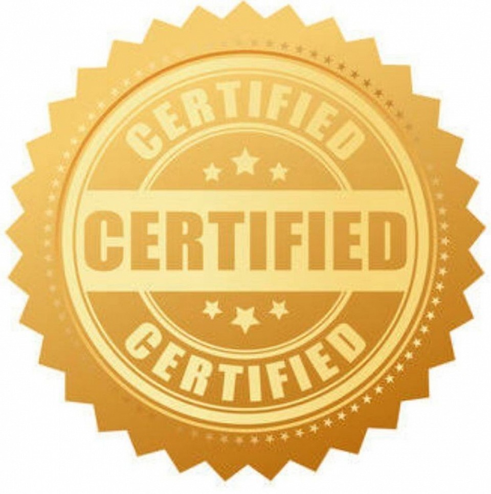 Certified by Yoga Federation of Egypt Africa and Middle East